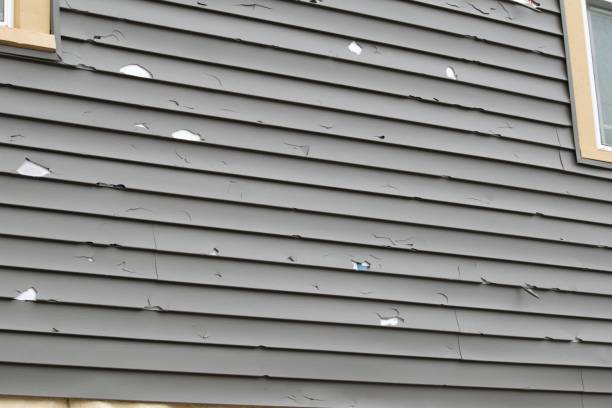Affordable siding repair and maintenance services in Edgard, LA